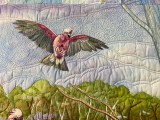 Galah2